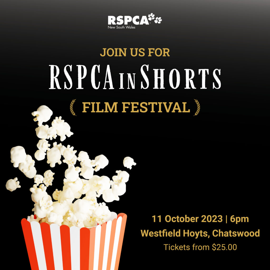 RSPCA in SHORTS Film Festival